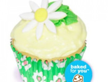 Sugar Daisy Cupcakes