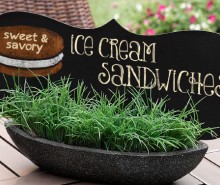 Sweet &amp; Savory Ice Cream Sandwiches